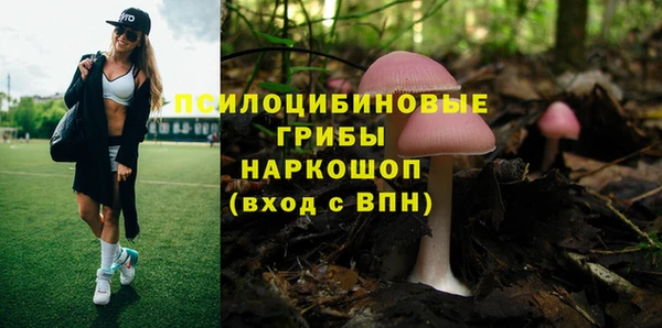 mdpv Няндома