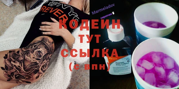прущий лед Алзамай