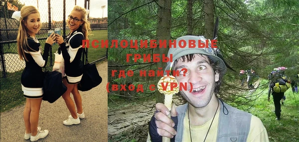 PSILOCYBIN Алексин