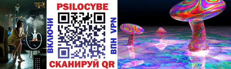 Галлюциногенные грибы Psilocybe  хочу наркоту  Алексин 